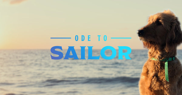 Ode to Sailor